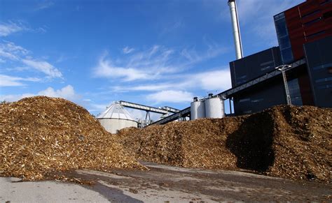 biomasa energia